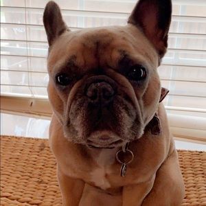 please make offers!!!